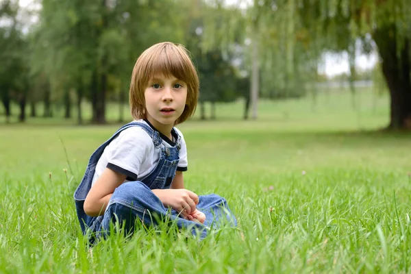 Schattige jongen in gras — Stockfoto