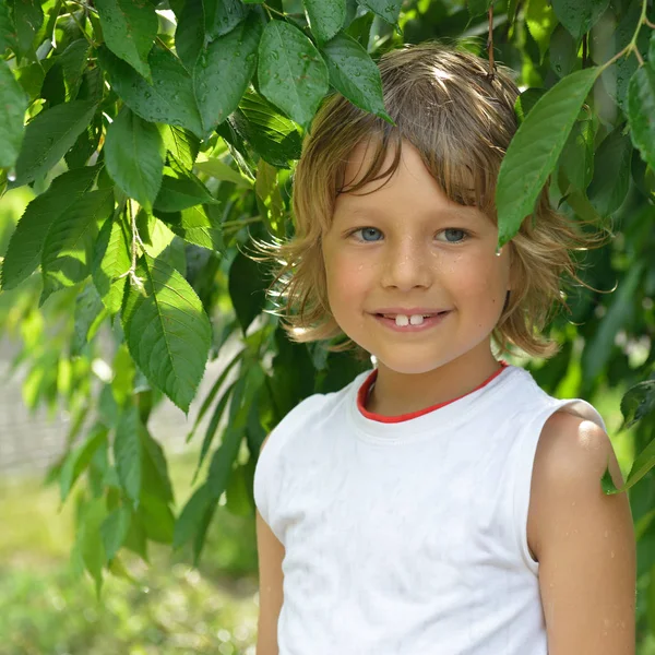 Jongen in zomerregen — Stockfoto