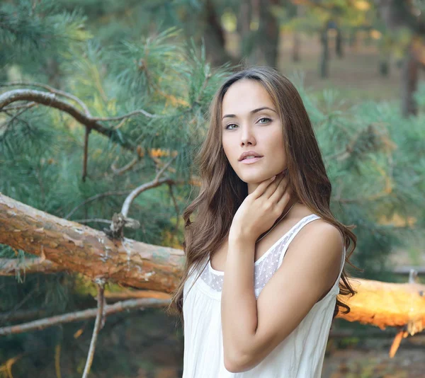 Pretty girl in forest — Stock Photo, Image