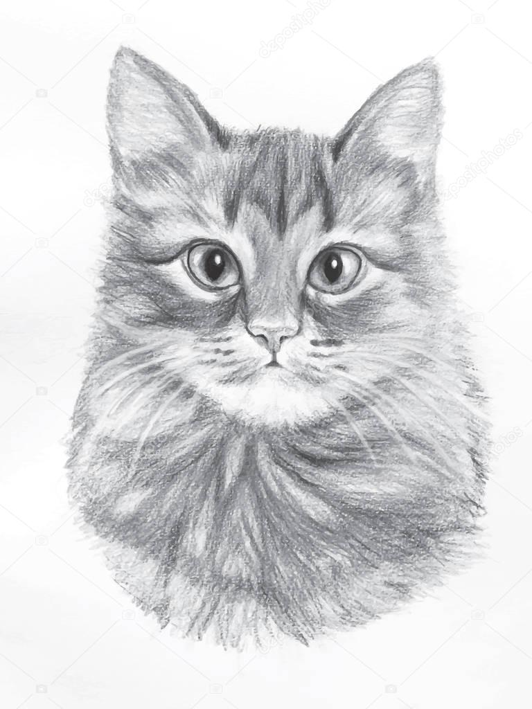 I consigli di Mimì: Come realizzare un ritratto realistico di un gatto..^_^, image size:768x1024