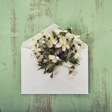 bahar çiçekleri ile zarf