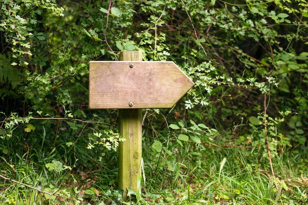 Panneau en bois dans la forêt — Photo