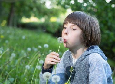 Karahindiba mevsimlik yeşil çimen, yaz doğa dışarı üzerinde üfleme çocuk