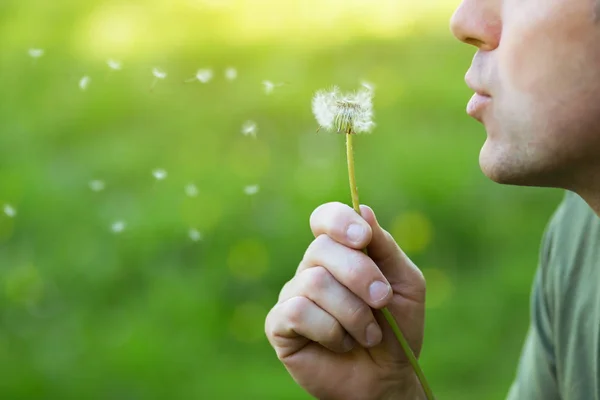 Man blowing dandelion over blured green grass, summer nature out — Stock Photo, Image