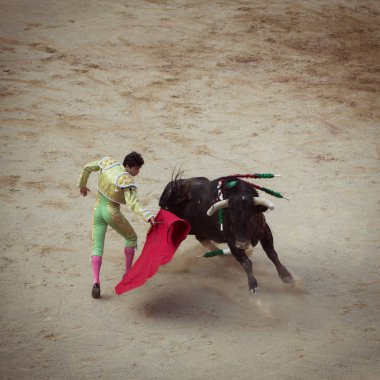 Boğa güreşi. Corrida Pamplona,: Navarra, Spain, 10 / 20 Temmuz