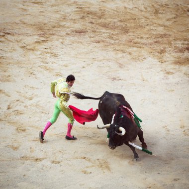 Boğa güreşi. Corrida Pamplona,: Navarra, Spain, 10 / 20 Temmuz