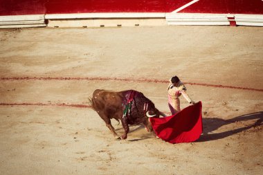 Boğa güreşi. Corrida Pamplona,: Navarra, Spain, 10 / 20 Temmuz