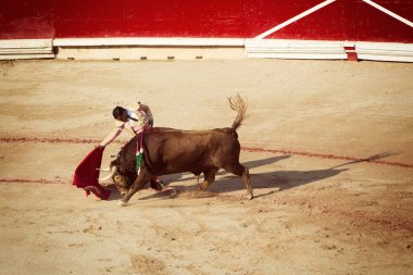 Boğa güreşi. Corrida Pamplona,: Navarra, Spain, 10 / 20 Temmuz