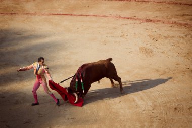 Boğa güreşi. Corrida Pamplona,: Navarra, Spain, 10 / 20 Temmuz