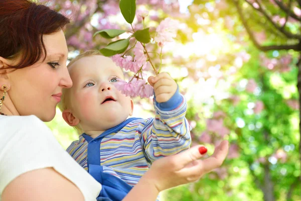 Mãe feliz segurando seu filho adorável. Família lei ao ar livre — Fotografia de Stock