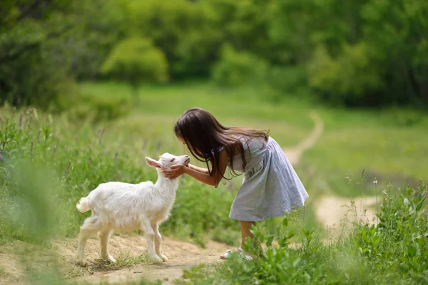 Little girl plays and huhs goatling in country, spring or summer — Stock Photo, Image