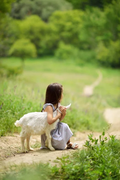 Mała dziewczynka gra i huhs goatling w kraju, wiosną lub latem — Zdjęcie stockowe