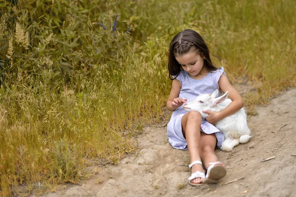 Malá holčička hraje a huhs kůzlečí v zemi, na jaře nebo v létě — Stock fotografie