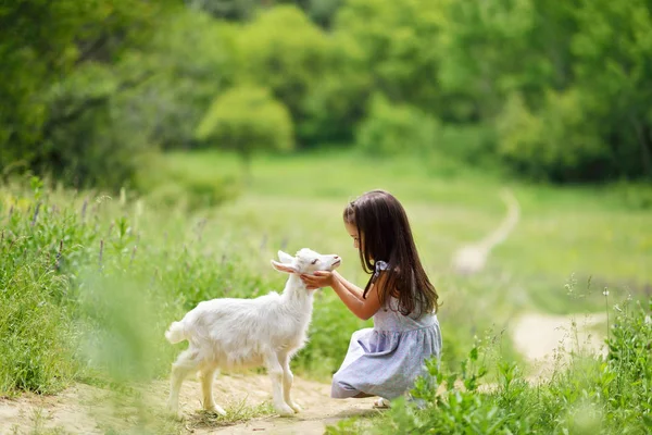 Pequena menina joga e huhs cabras no país, primavera ou verão — Fotografia de Stock