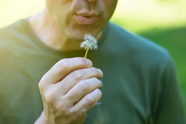 Homme soufflant le pissenlit sur l'herbe verte floue, nature estivale dehors — Photo