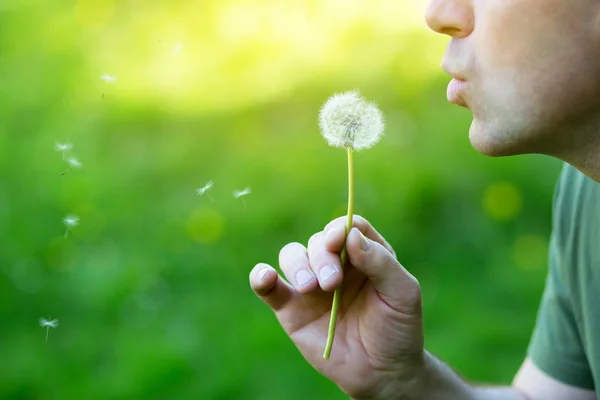 Homme soufflant le pissenlit sur l'herbe verte floue, nature estivale dehors — Photo