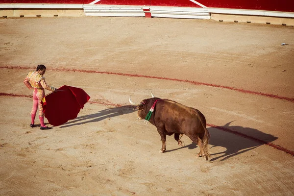 Peleas de toros. Corrida en Pamplona, Navarra, España, 10 de 20 de julio —  Fotos de Stock