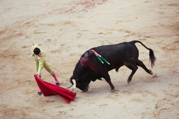 La corrida. Corrida à Pampelune, Navarre, Espagne, 10 de juillet 20 — Photo