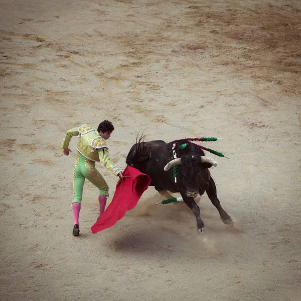 Peleas de toros. Corrida en Pamplona, Navarra, España, 10 de 20 de julio —  Fotos de Stock