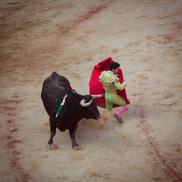 Peleas de toros. Corrida en Pamplona, Navarra, España, 10 de 20 de julio —  Fotos de Stock