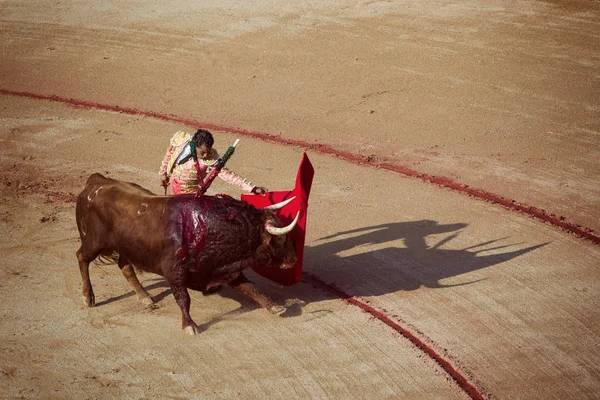 Peleas de toros. Corrida en Pamplona, Navarra, España, 10 de julio de 2016 —  Fotos de Stock