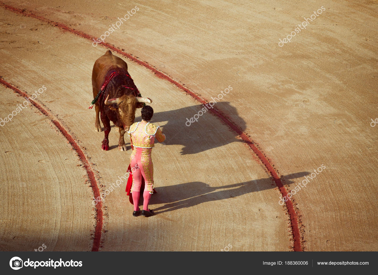 PAMPLONA SCARICA