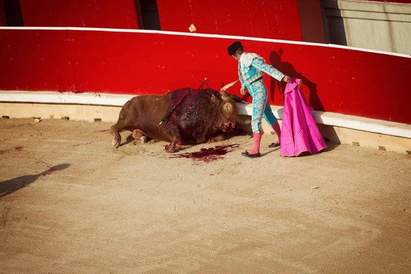 Tjurfäktning. Corrida i Pamplona, Navarra, Spanien, 10 av 20 juli — Stockfoto