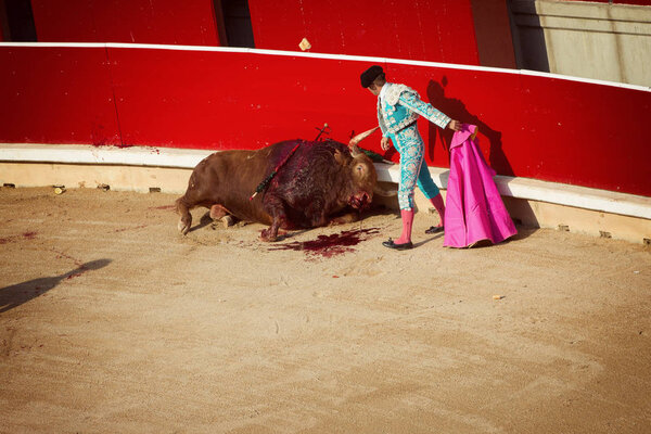 Bullfighting. Corrida in Pamplona, Navarra, Spain, 10 of july 20
