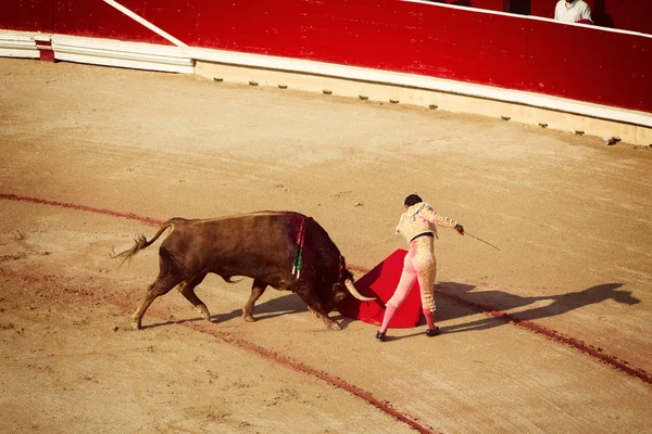 Peleas de toros. Corrida en Pamplona, Navarra, España, 10 de 20 de julio —  Fotos de Stock
