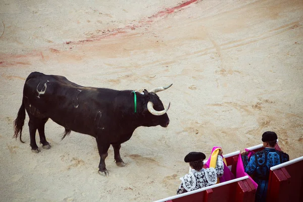 Peleas de toros. Corrida en Pamplona, Navarra, España, 10 de 20 de julio —  Fotos de Stock