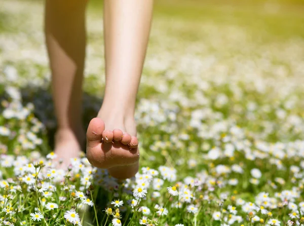 Child's feet in daisy closeup view. Shoeless boy walking on spri — Stock Photo, Image