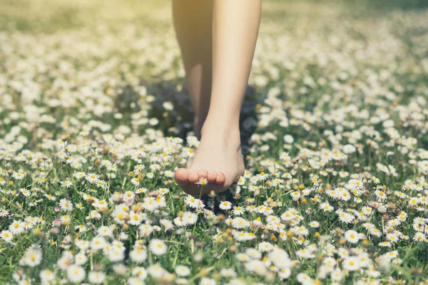 Pieds d'enfant en vue rapprochée de la marguerite. Sans chaussures garçon marche sur spri — Photo