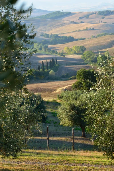 Tuscany, summer view. Typical Tuscan landscape. Val d'Orcia, Tus — Stock Photo, Image