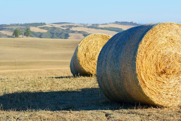 Campi e giardini in Toscana estiva. Paesaggio tipico toscano . — Foto Stock