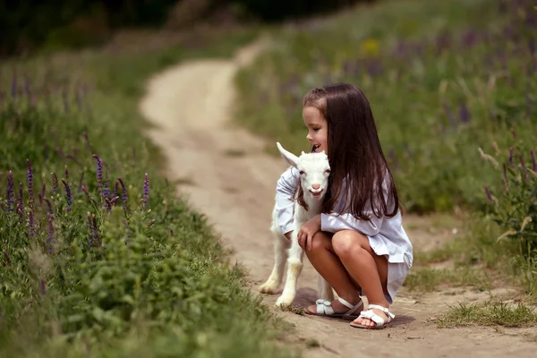 Bambina gioca e abbracci capra in campagna, primavera o estate — Foto Stock