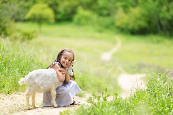 Pequena menina joga e huhs cabras no país, primavera ou verão — Fotografia de Stock