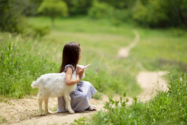 Little girl plays and huhs goatling in country, spring or summer — Stock Photo, Image