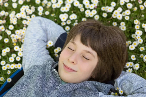 英俊快乐的小男孩躺在床上睡觉或做梦在夏天草甸绿草与雏菊 迷人的微笑十几岁的男孩摆在自然背景 形象色调 — 图库照片