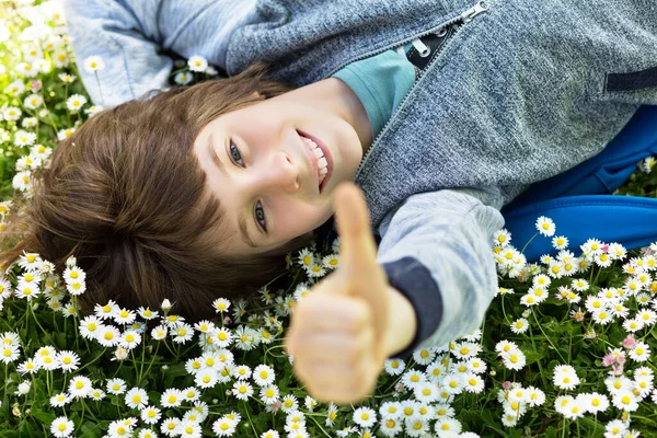 Handsome Happy Smiling Young Boy Lying Summer Daisy Meadow Green — Stock Photo, Image