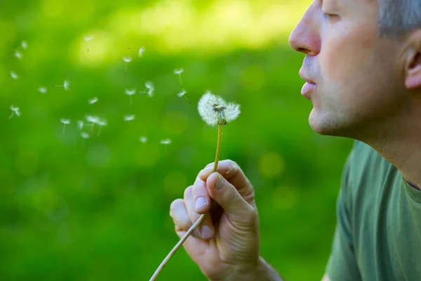 Homme Soufflant Pissenlit Sur Herbe Verte Floue Nature Été Plein — Photo