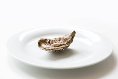 Taze istiridye. Çiğ taze istiridye beyaz yuvarlak tabakta, görüntü izole, yumuşak odaklı. Restoran lezzeti. Tuzlu su istiridyesi..