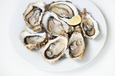 Taze istiridye. Çiğ taze istiridyeler beyaz yuvarlak tabakta, görüntü izole, yumuşak odaklı. Restoran lezzeti. Taze çiğ istiridye. Tuzlu su istiridyeleri..