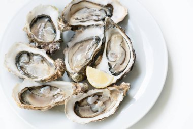 Taze istiridye. Çiğ taze istiridyeler beyaz yuvarlak tabakta, görüntü izole, yumuşak odaklı. Restoran lezzeti. Taze çiğ istiridye. Tuzlu su istiridyeleri..