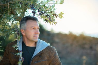 Zeytin bahçesinde poz veren yakışıklı bir adam. Akdeniz zeytin tarlasında hasat için hazır erkek portreleri. İspanyol zeytinliğinde kendine güvenen olgun bir adam taze zeytinlerle dolu.