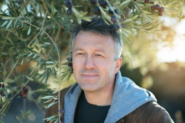Zeytin bahçesinde poz veren yakışıklı bir adam. Akdeniz zeytin tarlasında hasat için hazır erkek portreleri. İspanyol zeytinliğinde kendine güvenen olgun bir adam taze zeytinlerle dolu.