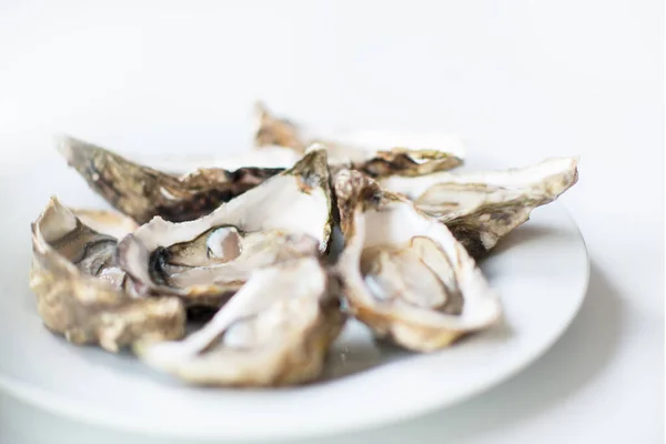 新鲜的牡蛎生新鲜的牡蛎在白色圆盘上 图像孤立 有柔软的焦点 餐厅的美味 新鲜生牡蛎咸水牡蛎 — 图库照片