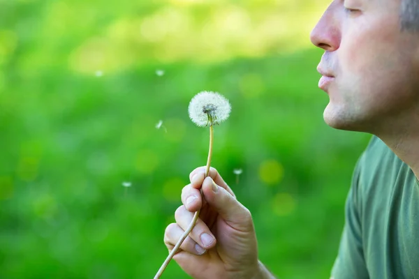 Homme Soufflant Pissenlit Sur Herbe Verte Floue Nature Été Plein — Photo