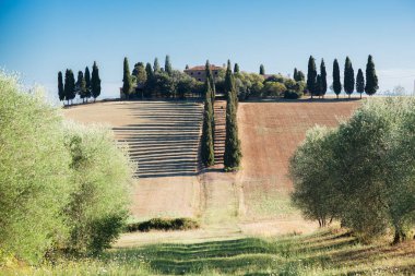Antik kırsal evleri, tarlaları ve ağaçları, İtalya ve Avrupa 'da yaz manzarası. 