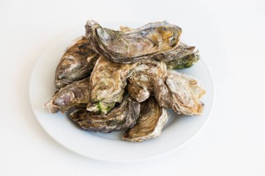 Taze istiridye. Beyaz yuvarlak tabakta çiğ istiridye. Görüntü izole, yumuşak odaklı. Restoran lezzeti. Tuzlu su istiridyeleri..