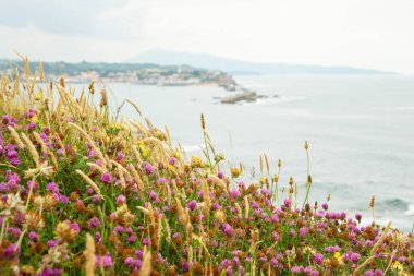 Saint Jean de Luz 'un panoramik manzarası, Fransa, Avrupa.